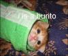 post-1607-14166818002973_thumb.jpg