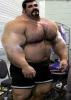 post-498-14166817815304_thumb.jpg