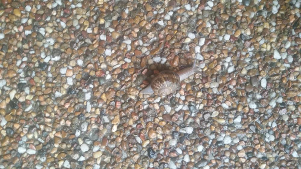 20160129_142505.thumb.jpg.8c011d275dd1ce