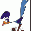 Roadrunner001
